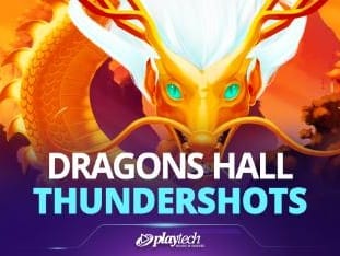 Dragons Hall™ game cover